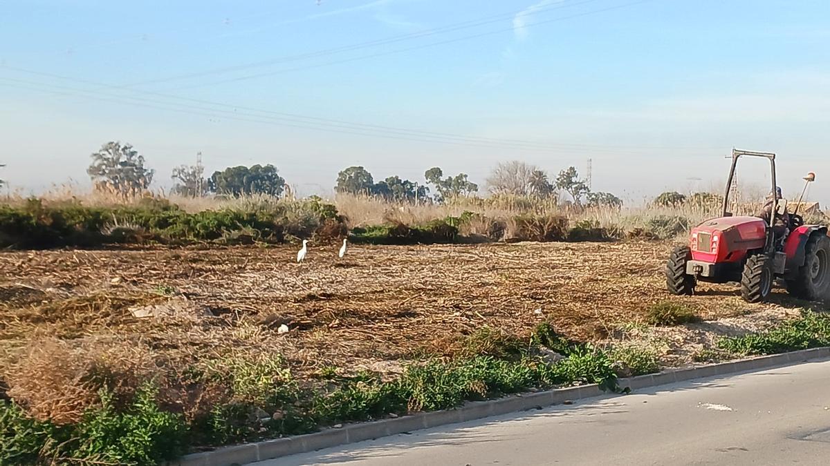 Inicio de las actividades de restauración de suelos en la parcela que alberga a CAMPO y "Escape the Quake!", en 27 de enero de 2024.