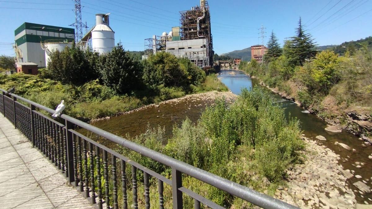 El río Nalón a su paso por Lada, en una imagen de archivo.