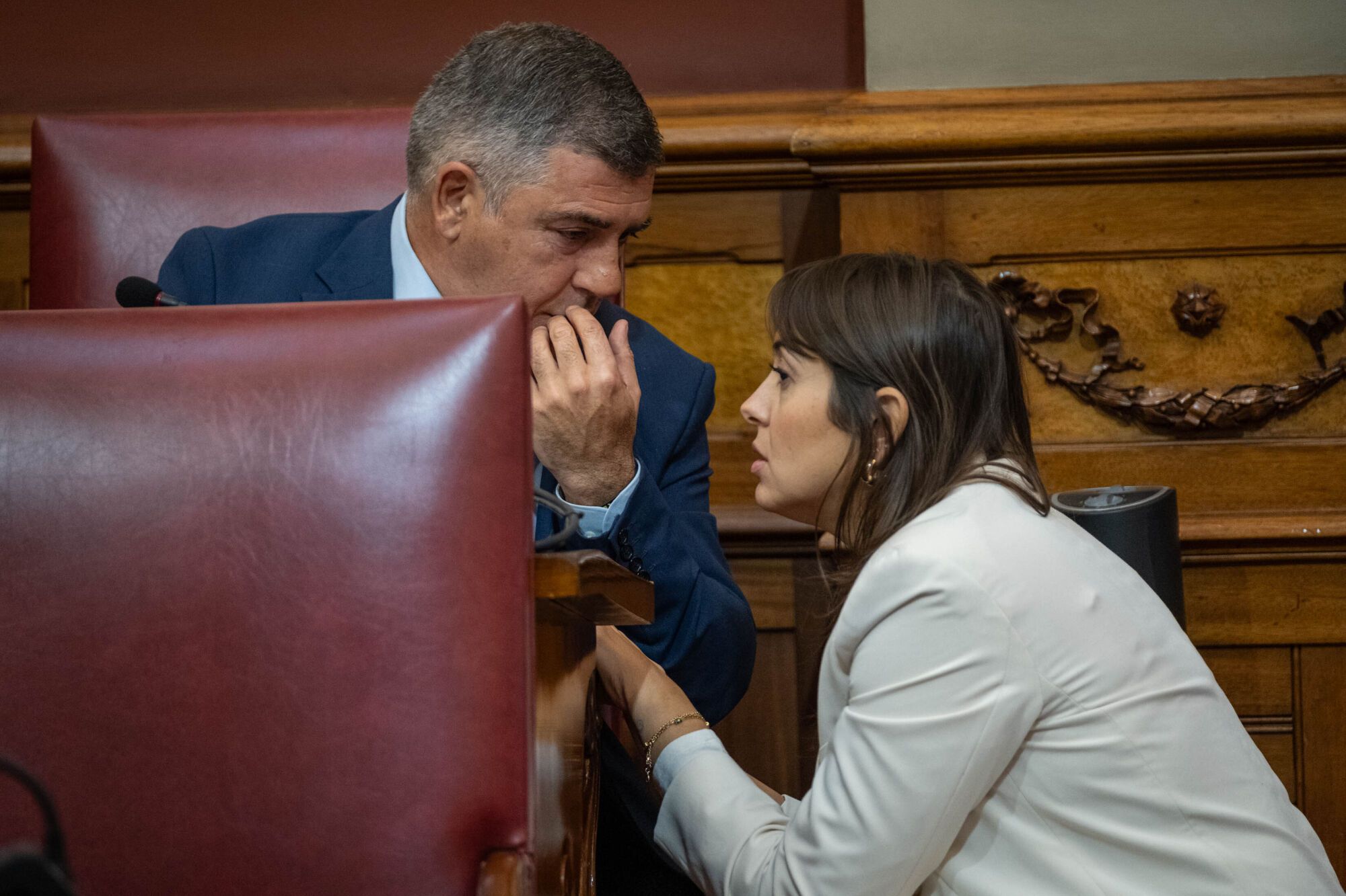 Pleno del Ayuntamiento de Santa Cruz