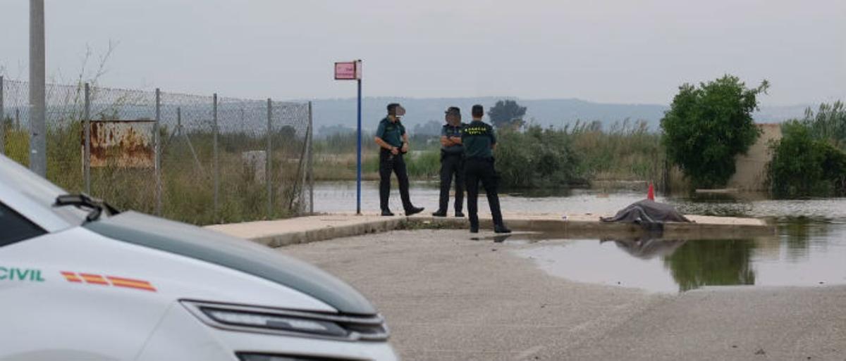 Gota fría en la Vega Baja: Los agricultores cifran en 550 millones las pérdidas en el campo de la provincia de Alicante