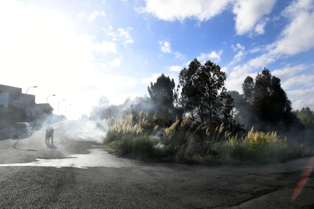 El fuego, en una zona situada entre A Zapateira y A Corveira, se inició pasadas las ocho de la mañana y quedó sofocado al filo de las 10.00 horas.