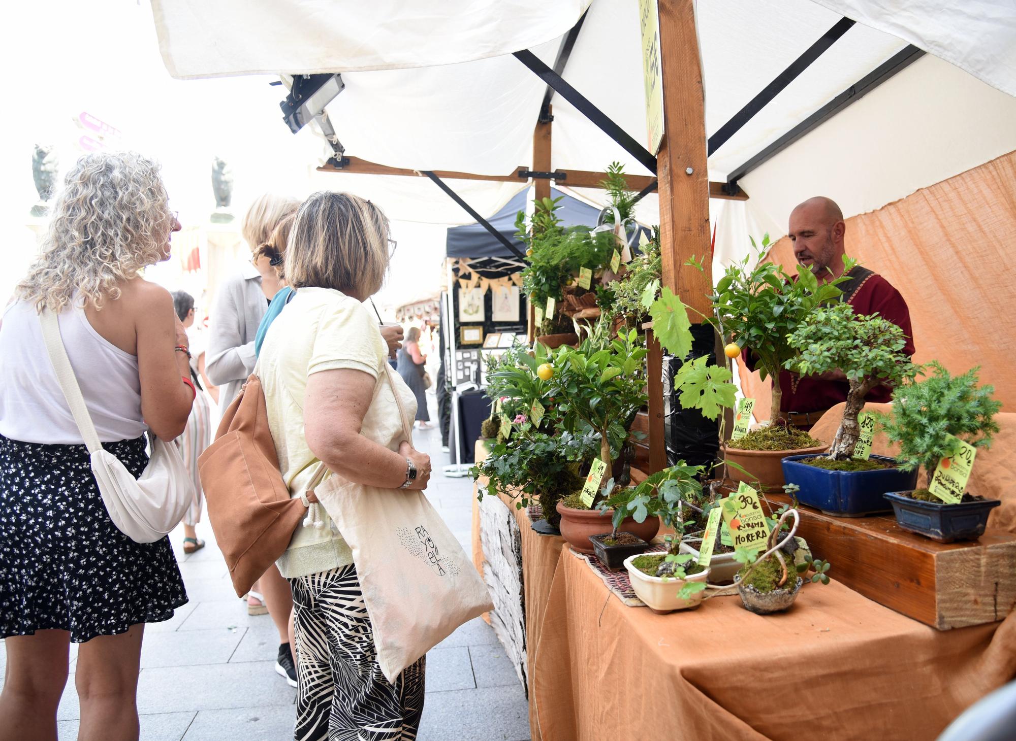 El Mercado de las Tres Culturas ya deslumbra en el centro de Zaragoza