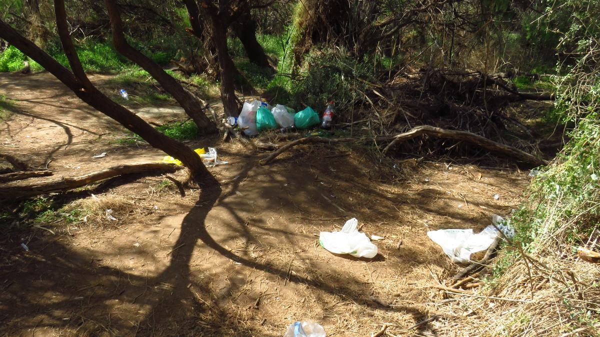 Basura en uno de los espacios del Pantano de Elche, según  la imagen facilitada por AHSA