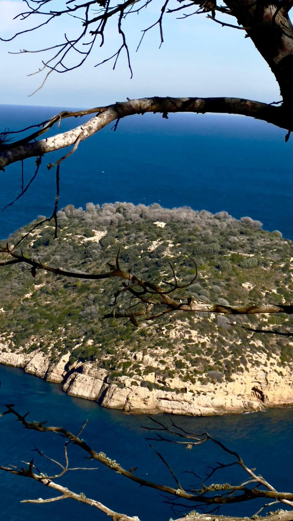 Imagen de l'Illa tomada desde el mirador de la Falzia