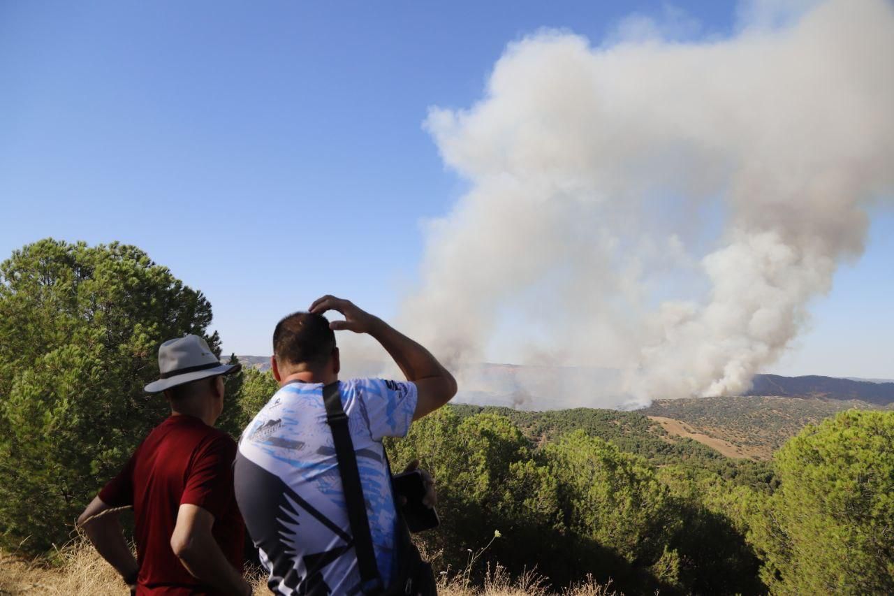 Incendio forestal en Cerro Muriano