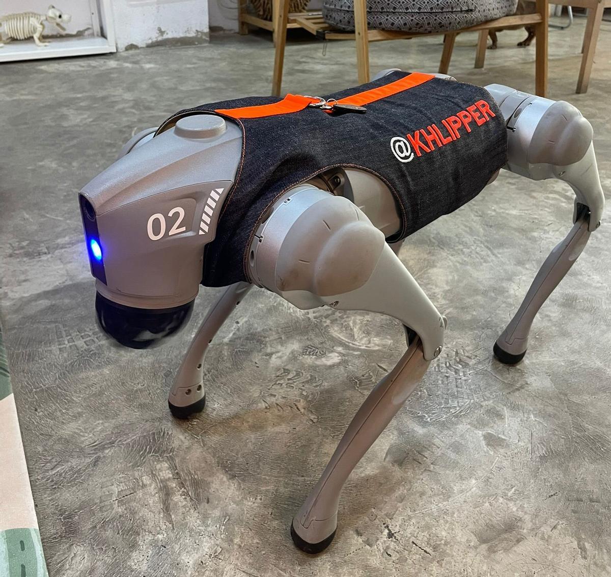 Un perro robot con el arnés de Caninetto.