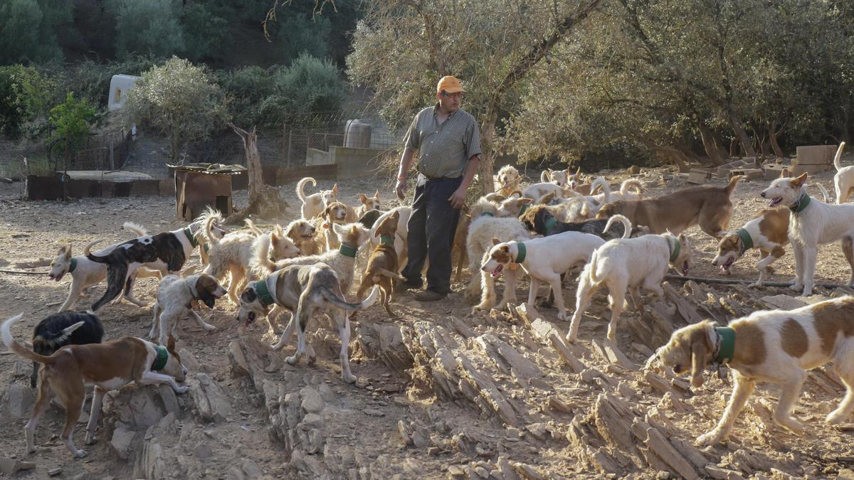 Un rehalero extremeño con sus perros, en una imagen de archivo.