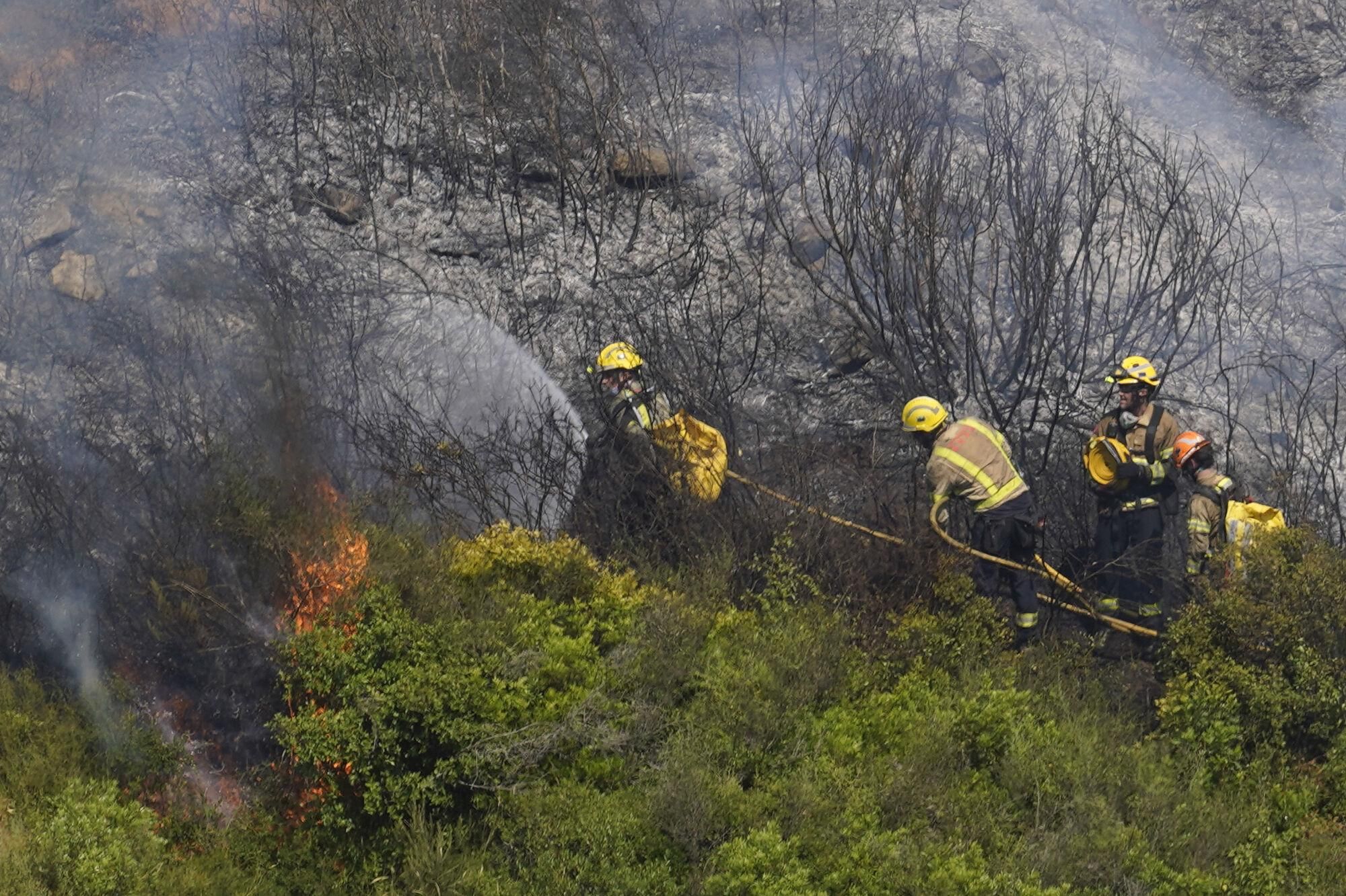 Girona zona boscosa font de la pólvora sant Daniel incendi forestal