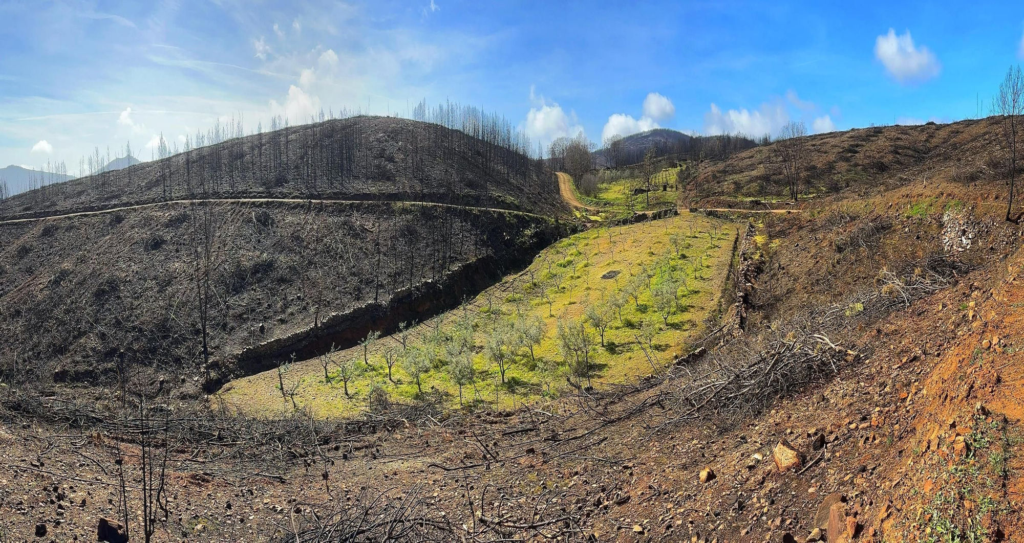 Galería | Imágenes del incendio en Torre de Miguel en 2022