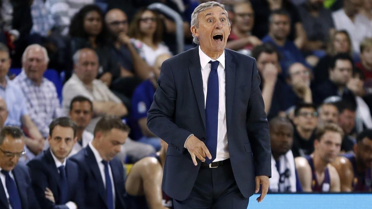 Pesic, durante el primer partido en el Palau ante el Andorra.