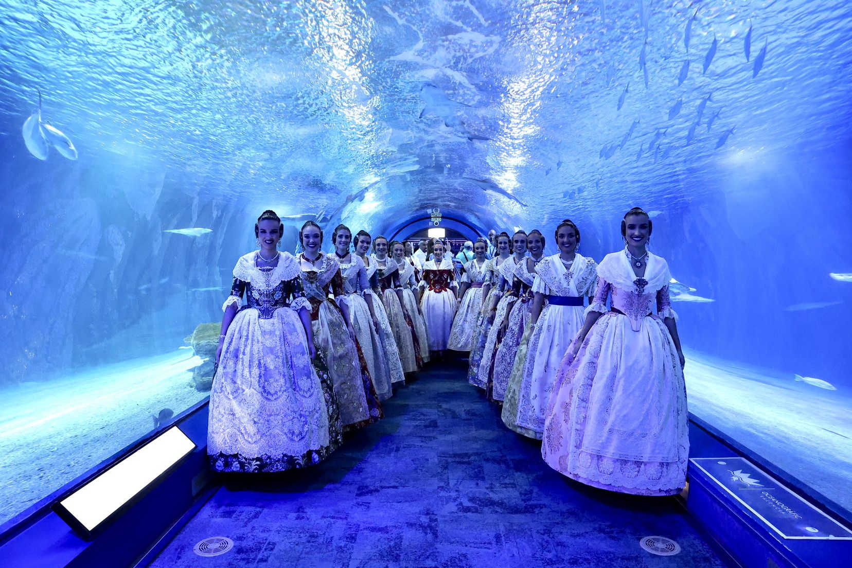 Cita de las candidatas a Fallera Mayor 2026 en l'Oceanogràfic