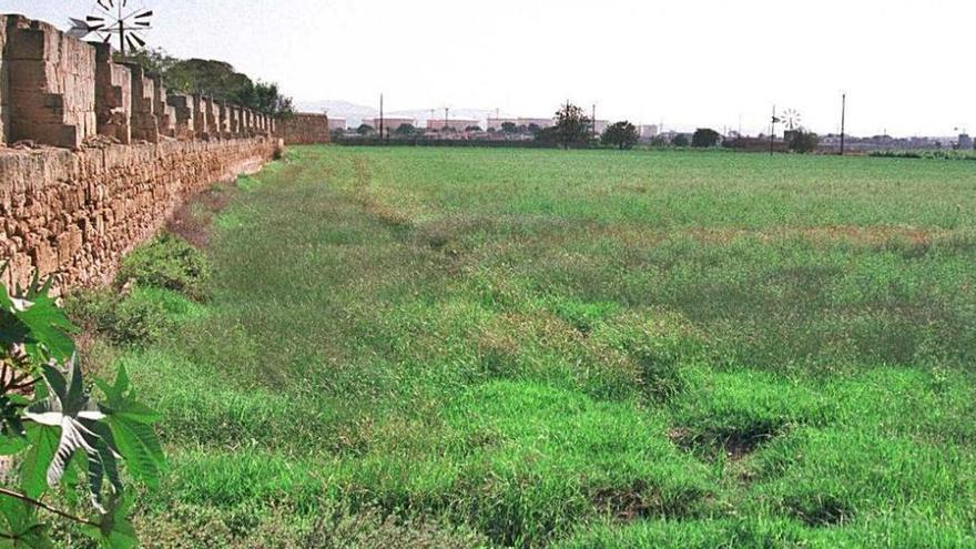 Gericht verurteilt Eigentümer, die Schwarzbau-Finca verkaufen wollten