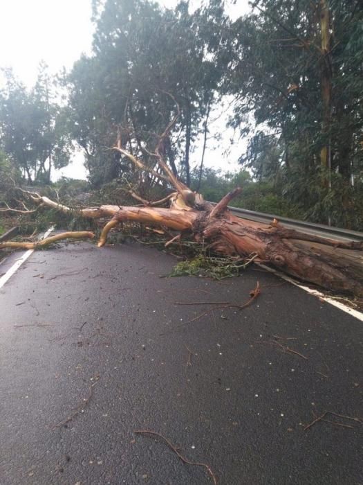 El mal tiempo causa desperfectos en carreteras de Gran Canaria