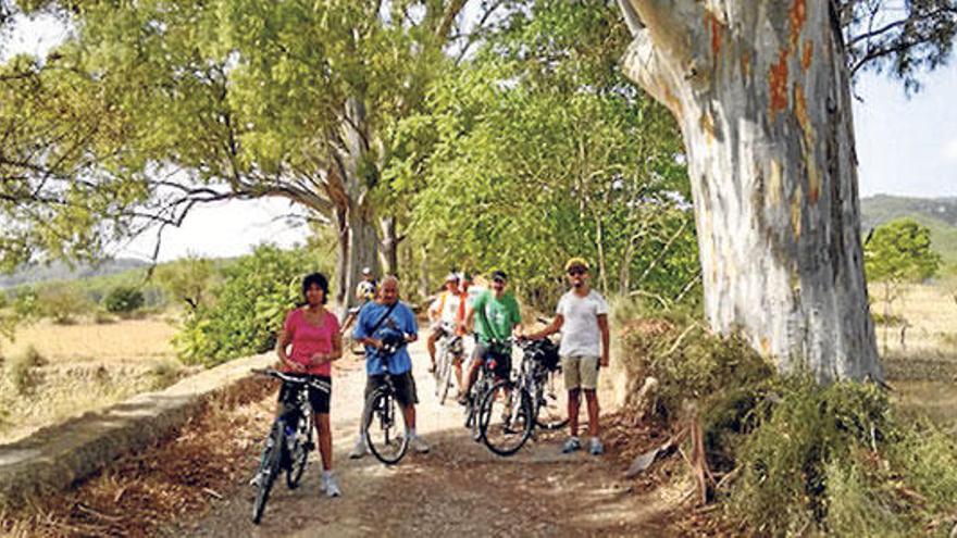 Parada de los ciclistas en el bosque de la finca de Son Bunyolí.