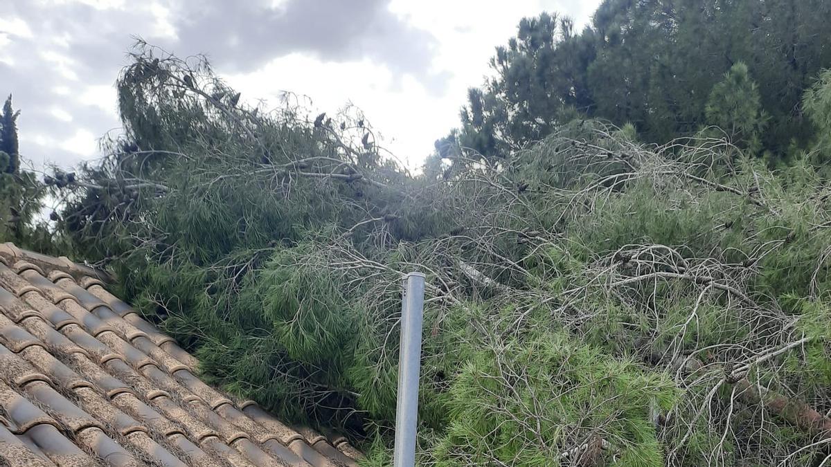 Parte del tejado ya reparado tras ser arrancado por el tornado de una vivienda de Alginet.