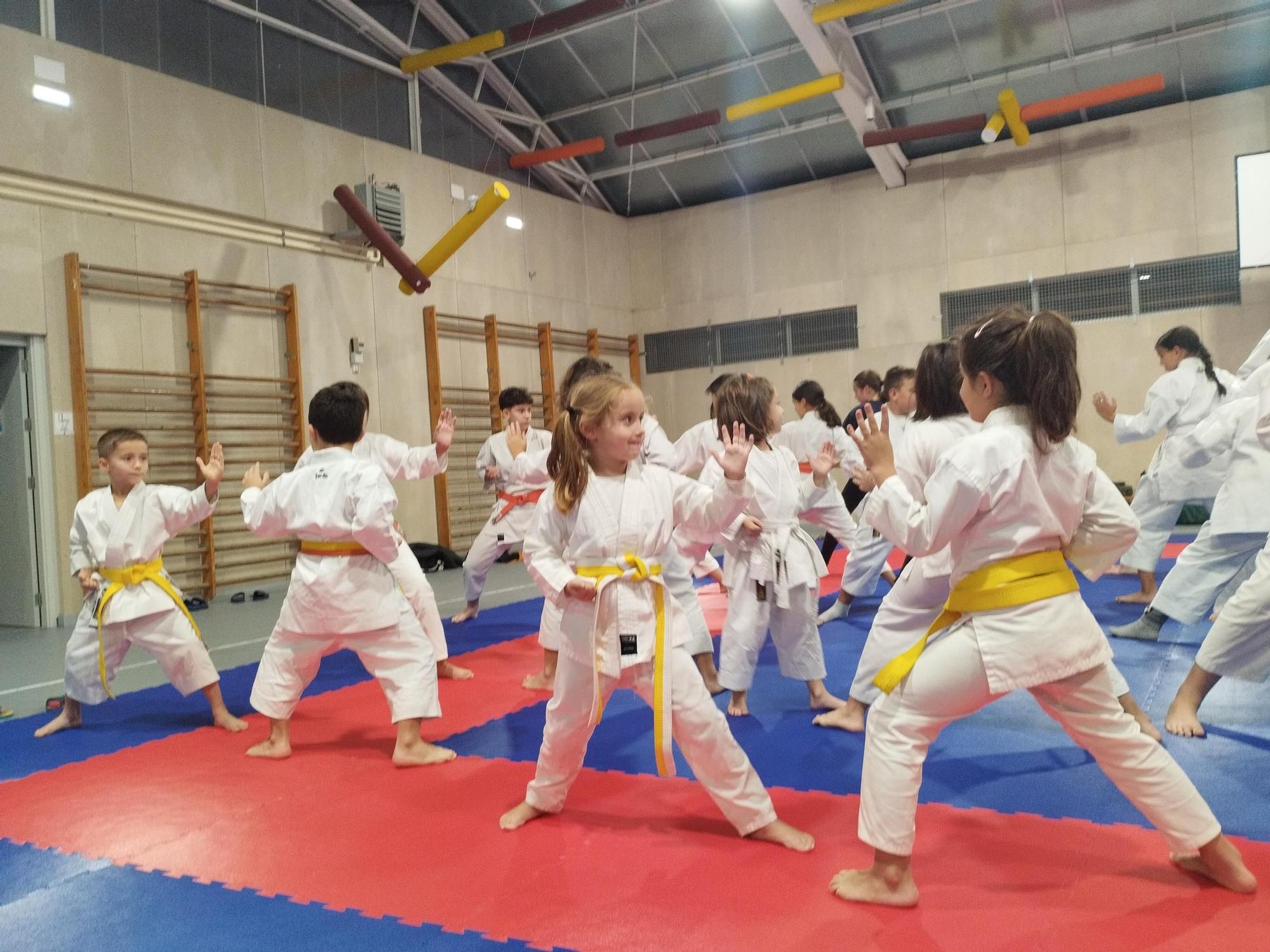 El tai-jitsu, el arte de defensa de los guerreros samurái conquista en Llanera