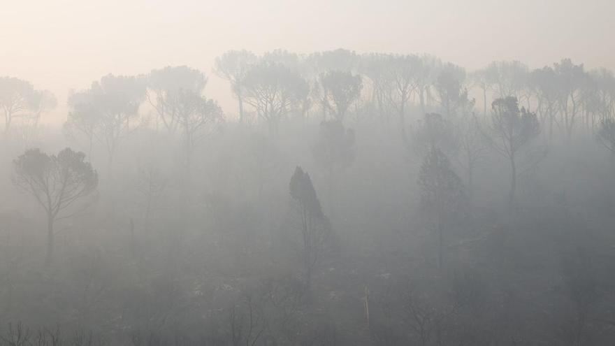 Lucha contrarreloj para controlar el incendio de la sierra oeste de Madrid y Ávila: cinco días de fuego, 90.000 desplazados y la amenaza de otra ola de calor