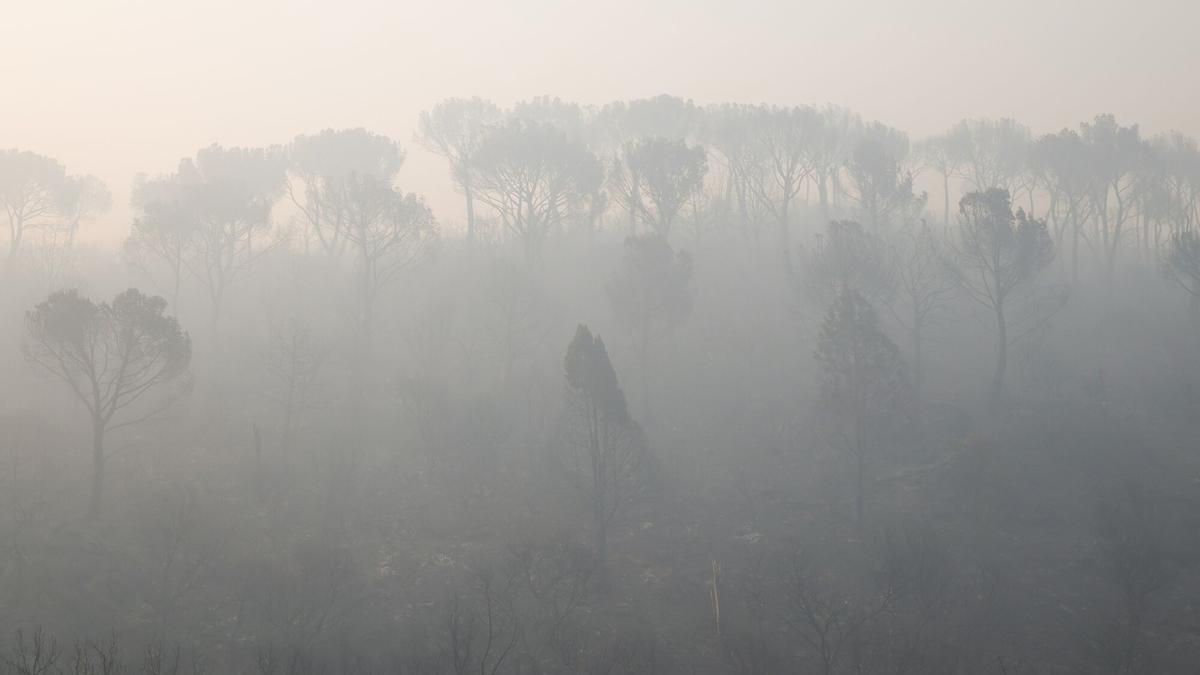 INCENDIO FORESTAL | Lucha contrarreloj para controlar el incendio de la sierra oeste de Madrid y Ávila: cinco días de fuego, 90.000 desplazados y la amenaza de otra ola de calor