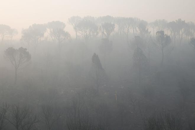 Lucha contrarreloj para controlar el incendio de la sierra oeste de Madrid y Ávila: cinco días de fuego, 90.000 desplazados y la amenaza de otra ola de calor