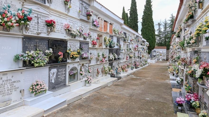 El cementerio municipal de Mérida ampliará su capacidad con más de 500 nichos
