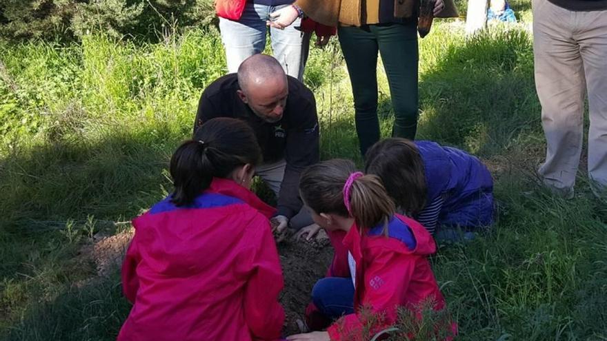 Los &#039;Bosques para la salud&#039;, a manos de los más pequeños