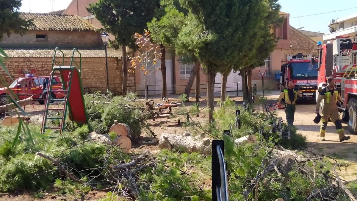 Los bomberos retiran árboles derribados por la lluvia en Longares.