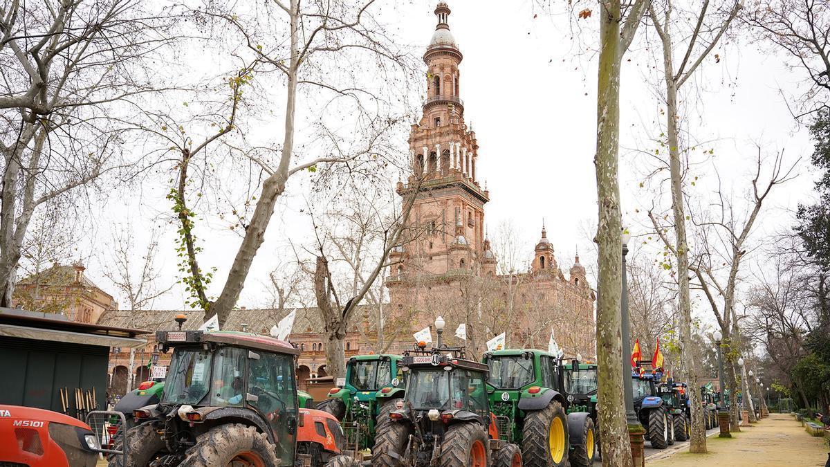 VIDEO | Testimonios de los asistentes de la tractorada en Sevilla