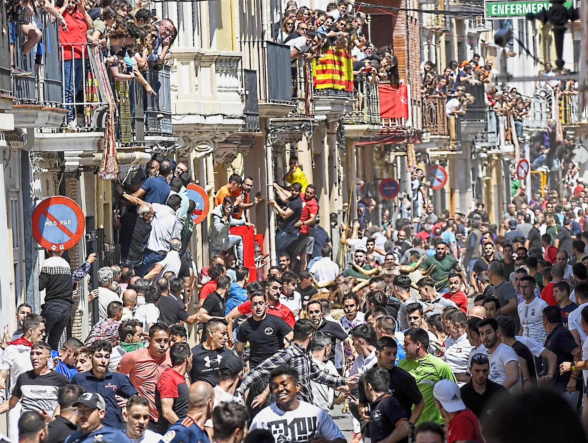 MACROGALERÍA DE FOTOS: Búscate en el encierro y los primeros 'bous' de las fiestas de Almassora