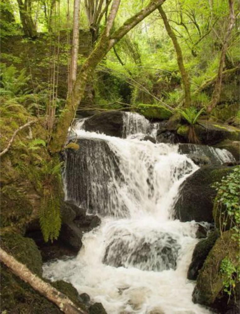 Fervenza preto do templo