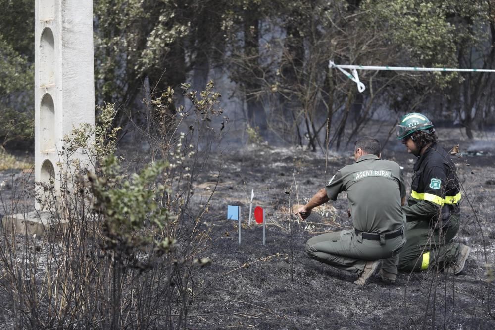 Incendi a Riudellots de la Selva