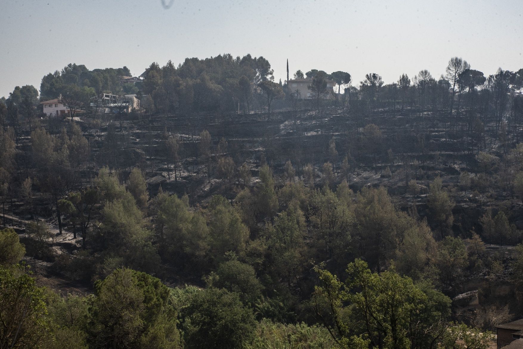 Afectació per l'incendi a la urbanització de les Brucardes