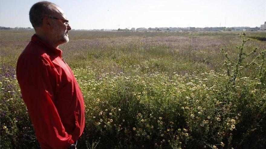 Urbanismo da impulso a un nuevo barrio junto a San Rafael de la Albaida