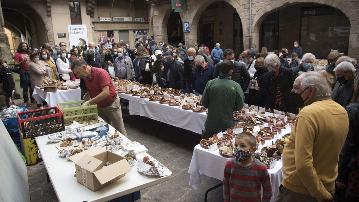 A l’exposició de micologia s’hi van poder veure més de 150 espècies de bolets | MIREIA ARSO