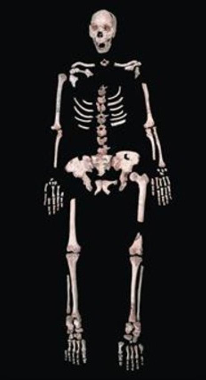 Esquelet d’un homínid d’Atapuerca d’uns 400.000 anys.
