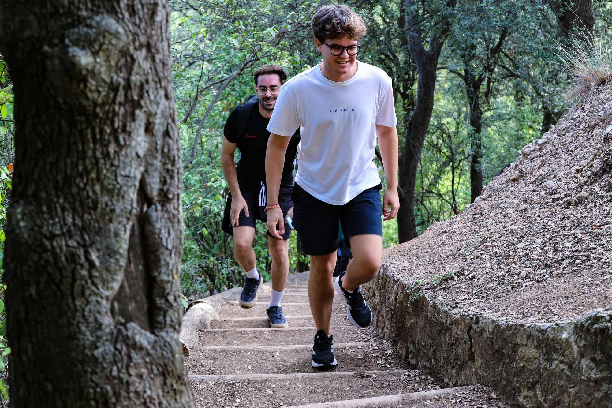 Romería a la Ront Roja