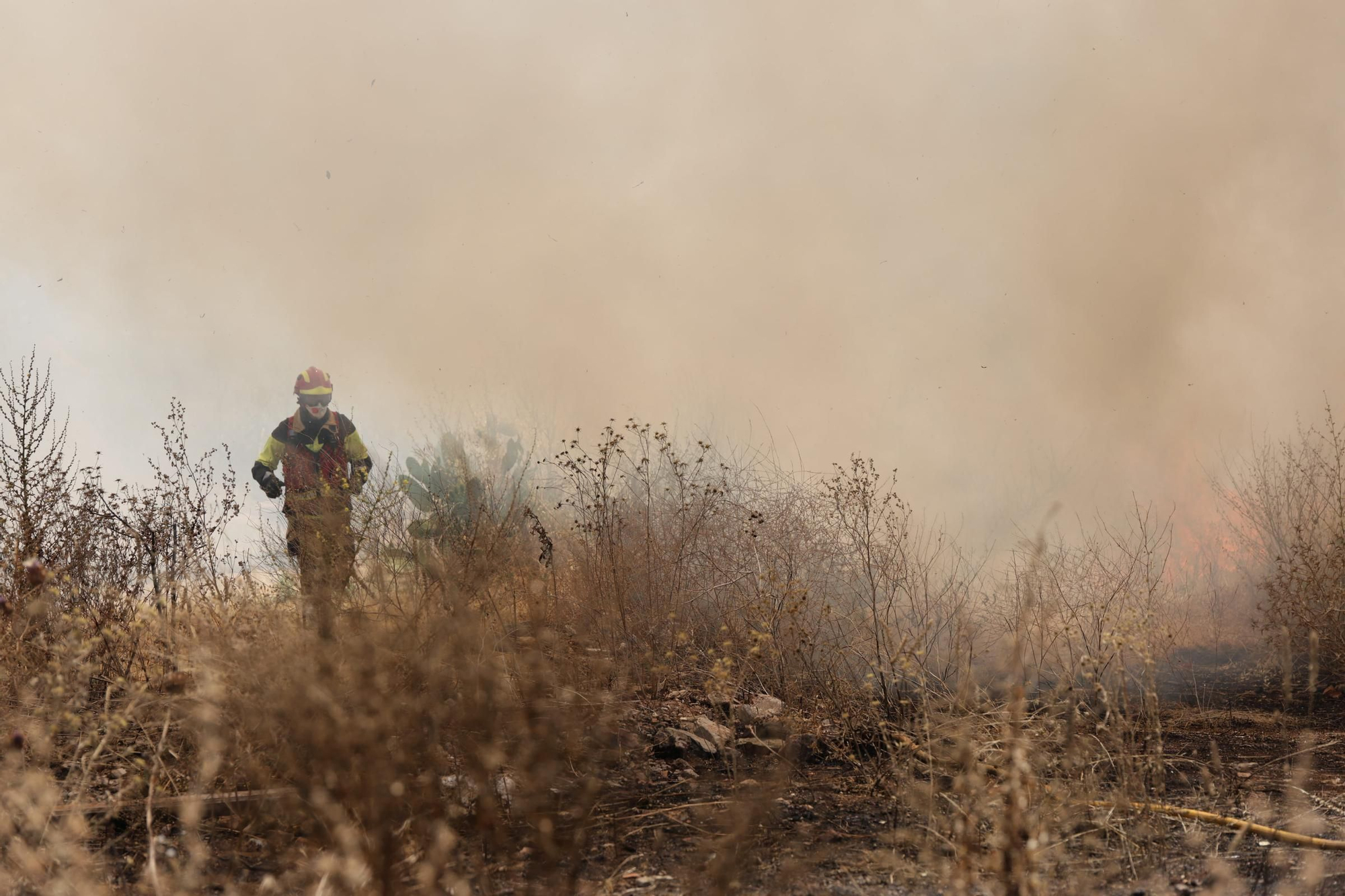 El Incendio en el Cerro de los Pinos, en imágenes