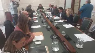 Badenas y Herrero vuelven al redil de Vox con perfil bajo y una concejalía a medias
