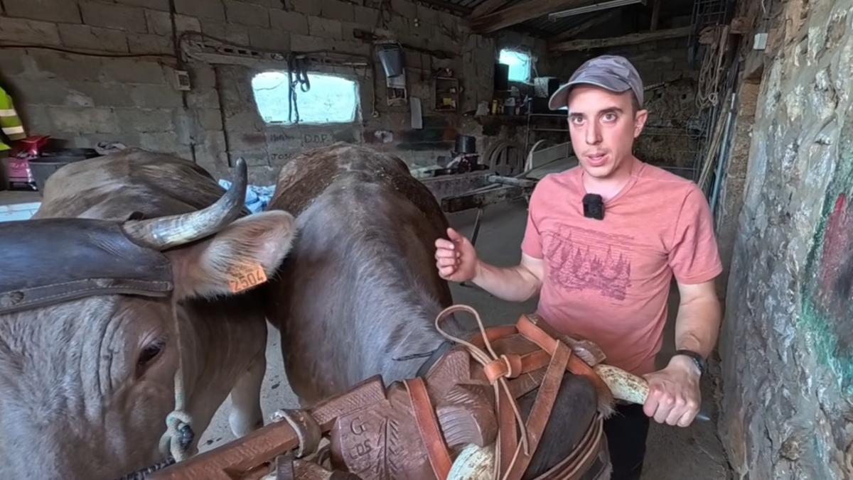 David y Rocío decidieron dedicar más tiempo a oficios en peligro de extinción, como la antigua ganadería.