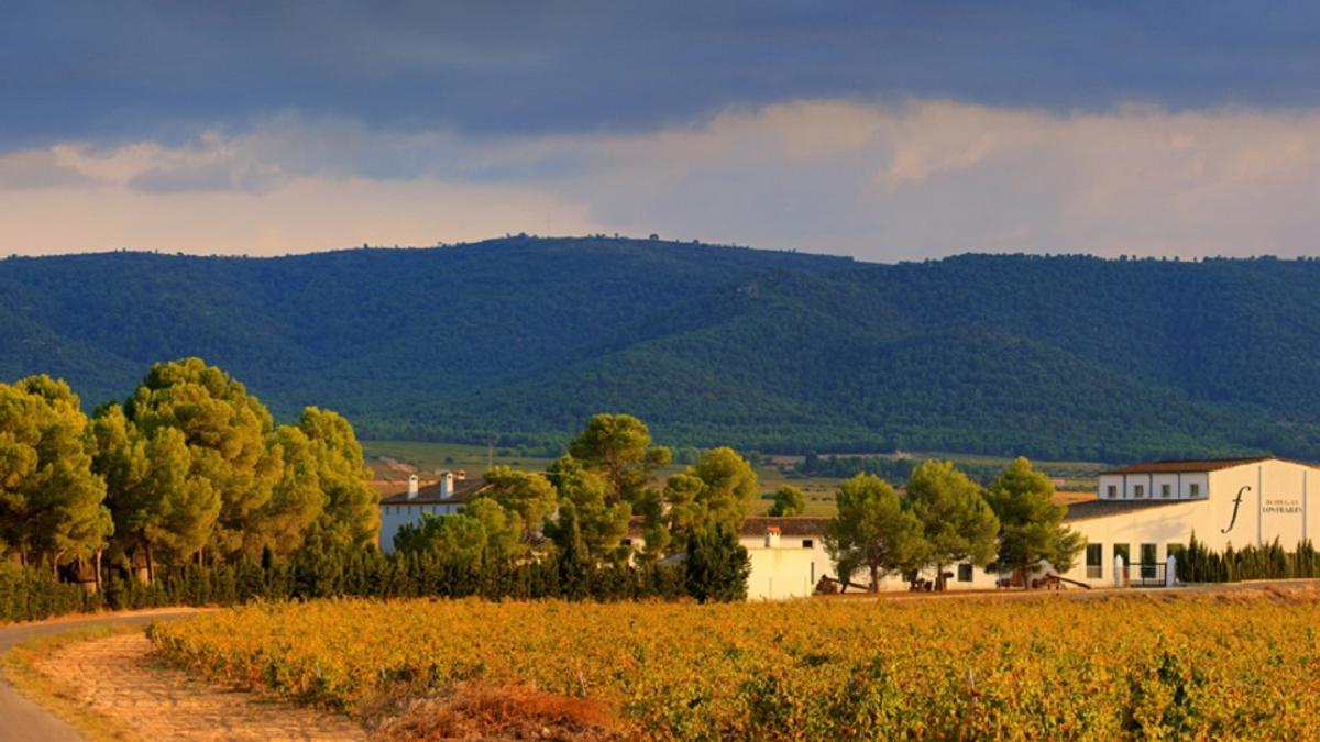 La finca cuenta con una extensión de 162 hectáreas, de las que 130 son viñedos.