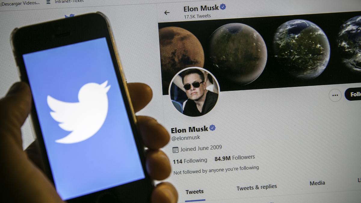 El logo de Twitter, junto a la cuenta de Elon Musk con la verificación azul.
