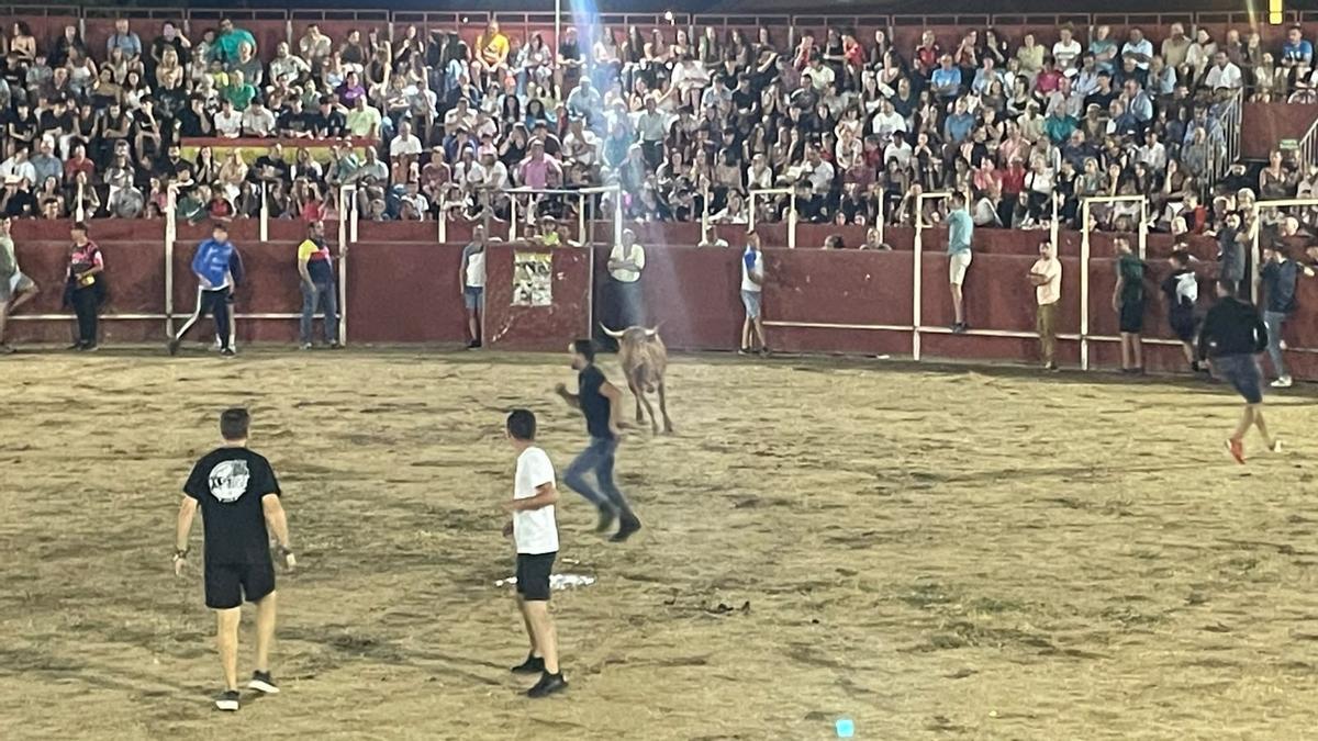 GALERÍA | Noche de vaquillas en San Cristóbal de Entreviñas