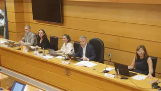 A Coruña cumple su amenaza de pedir Medicina y la Xunta tilda de «débiles» sus argumentos