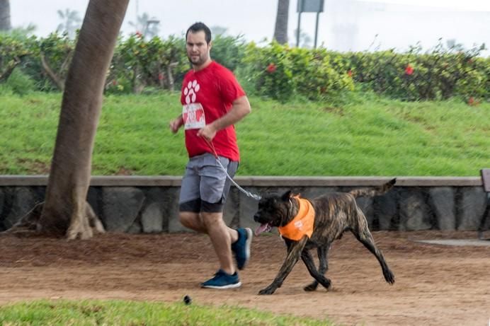 La Doggie Race, vista por José Fco. Fernández Belda