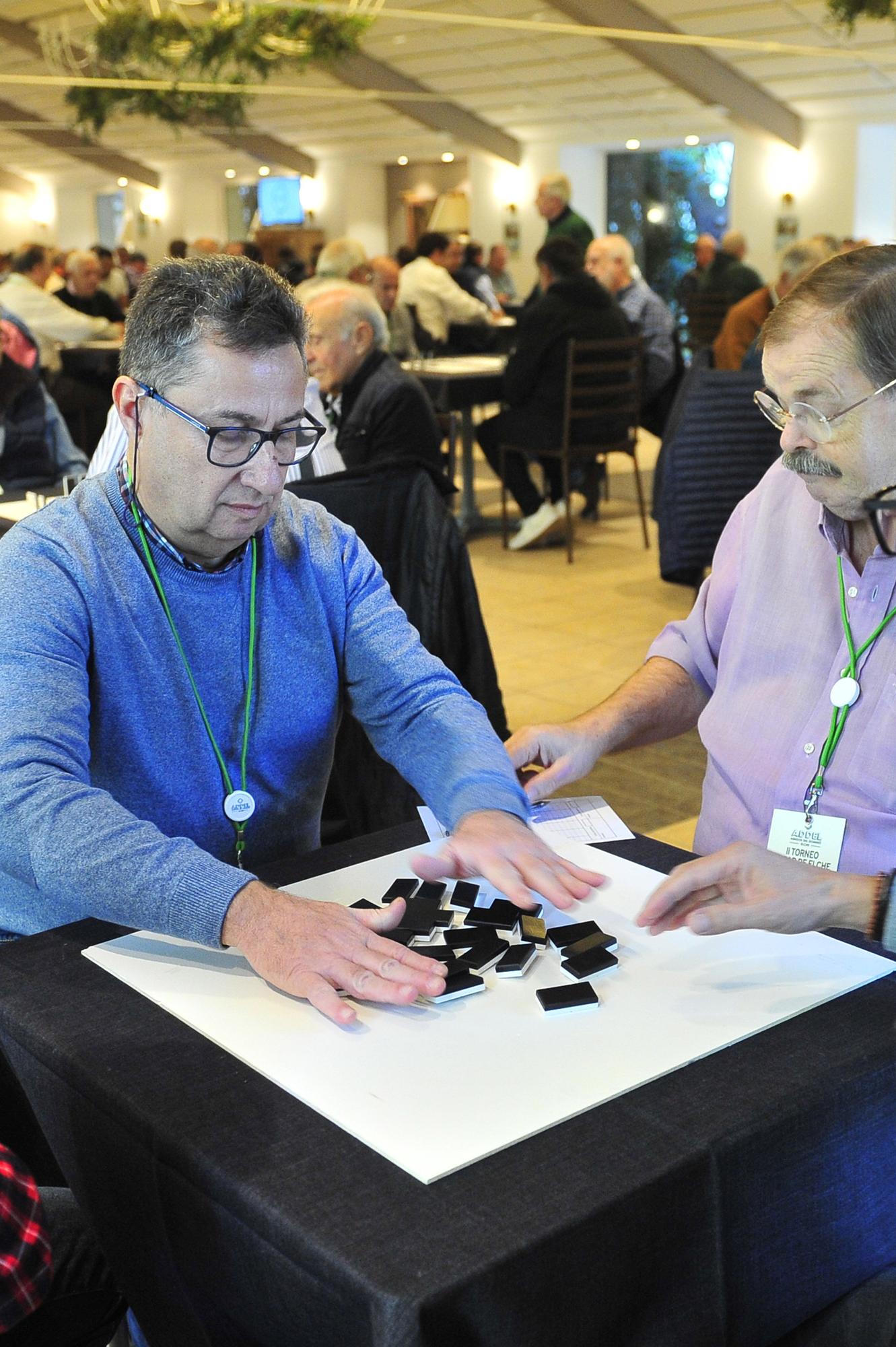 Segundo Torneo de Dominó Ciudad de Elche