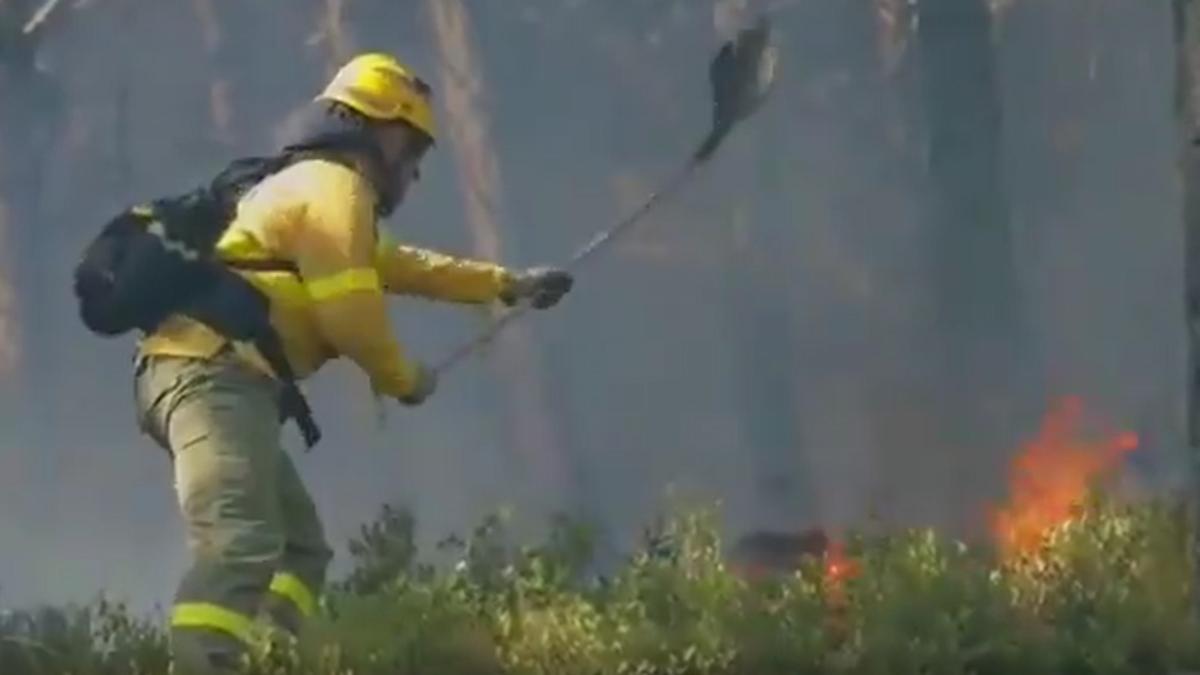 Un bombero del Infoca, en Sierra Bermeja.