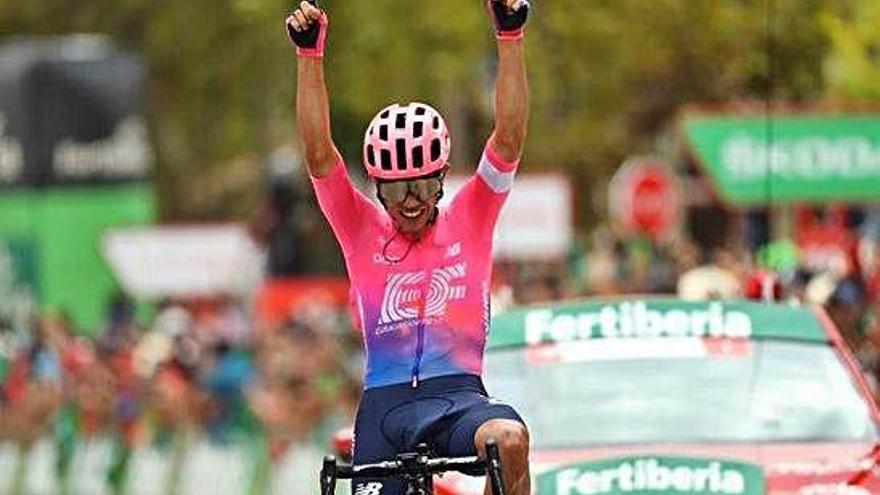 Higuita estalla de alegría al ganar la etapa de la Vuelta a España.