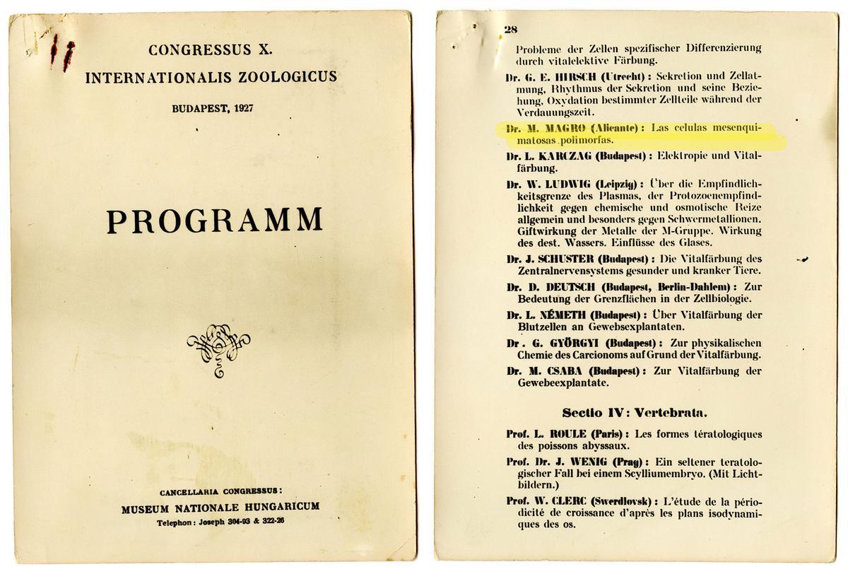 Documentos expuestos en el Museo de Crevillent.