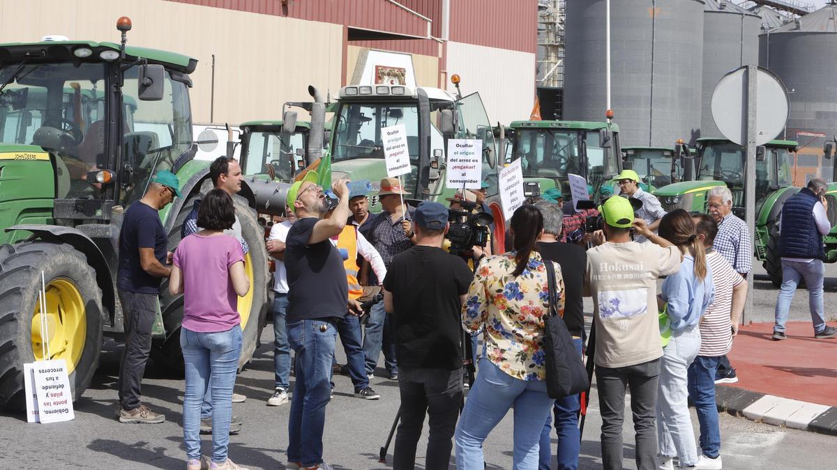 Un momento de la concentración de tractores de arroceros valencianos en Algemesí.