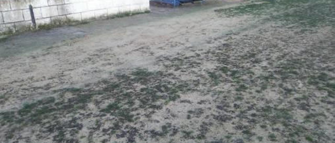 Estado del césped del campo de fútbol en la zona de los banquillos.