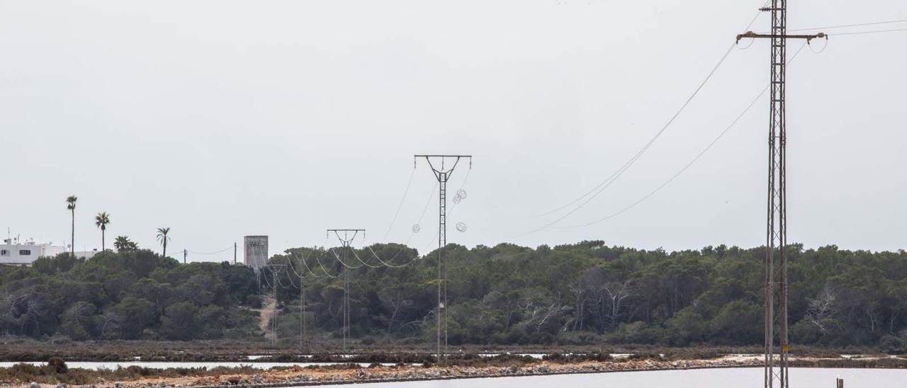 Los tendidos mortales para los flamencos en ses Salines de Ibiza tenían que estar enterrados desde 2009